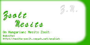 zsolt mesits business card